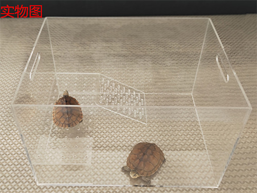 那些你不知道的有趣亚克力制品