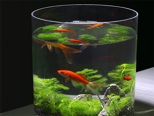 东莞亚克力制品加工的时候要留意什么问题