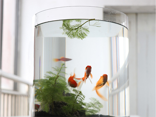 为什么亚克力制品会变得越来越黄